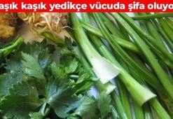 2 kaşık kerevizin çözemeyeceği dert yok! Kalbi saat gibi tıkır tıkır çalıştırıyor: Damarları yağ çözücü gibi temizliyor