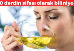 70 derdin şifası! Boşaltım sistemini çamaşır suyu gibi temizliyor, mide hastalıklarından koruyup kan basıncını düzenliyor