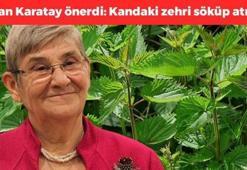 Canan Karatay'ın favorisi: Kandaki zehri söküp atıyor, bağışıklığı güçlendiriyor, kabızlık ve basurun en doğal çaresi! Portakaldan 7 kat fazla C vitamini içeriyor