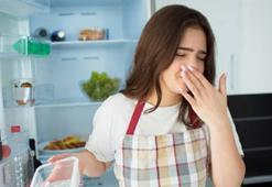 Kötü kokular bizi hasta edebilir mi?