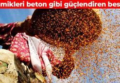Kalsiyumu kemiklere şırınga gibi işliyor! İskeleti baştan aşağı onarıyor: Bağırsakları makine gibi çalıştırıyor