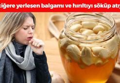 Öksürüğün, mikropların ve akciğerdeki balgamın kökünü kazıyor! 1 kaşık içmek yetiyor: Anne tarifi doğal öksürük şurubu!