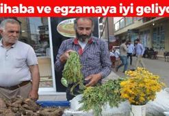 Doğada kendi kendine yetişiyor, 'Asker otu' olarak da biliniyor! Vücuttaki iltihabın kökünü kurutuyor, egzamaya en doğal çare!