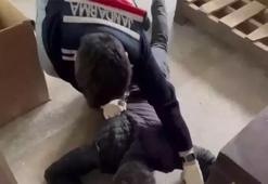 Bakan Yerlikaya duyurdu: Sahte kanser ilacı imal eden çete çökertildi