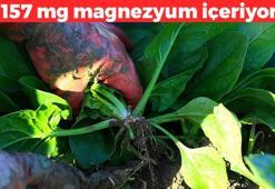 157 mg magnezyum içeriyor! Kan basıncını düzenliyor: Kısmi felci engelliyor, kasları çelik kemikleri beton gibi yapıyor