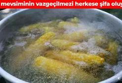 Tencerede haşlayıp tüketin! B1, B5 ve B9 deposu: Enerji metabolizmasını harıl harıl çalıştırıyor