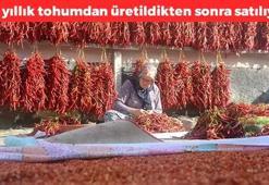 160 yıldır aynı tohumdan üretiliyor! Kolesterolün kökünü kurutuyor, kemikleri beton gibi yapıp buruş buruş damarları açıyor