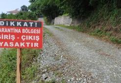 3 kişiyi ısıran köpek kuduz çıktı, mahalle karantinaya alındı