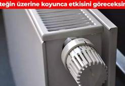 Kabuğunu soyup peteğin üzerine koyun! Solunum yollarını hortum gibi açıyor