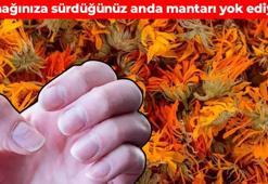 Tırnak mantarına bitkisel tedavi! Tarifini İbrahim Saraçoğlu verdi: İltihabın kökünü kazıyor
