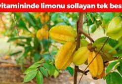 C vitamininde limonu sollayan tek meyve! Tanesi 54 lira: Kalsiyum ve demir zengini! Kan şekerini terazi gibi dengeleyip kolesterolü bitiriyor