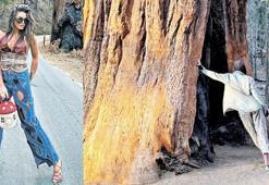 Kolombiya'dan Amerika'ya geçer geçmez 4 bin yaşında ağaçla poz verdi!