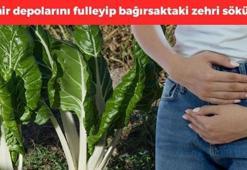 Tıkalı bağırsakları motor gibi çalıştırıyor! Demeti 30 TL: Demir eksikliğini bitirip D vitamini depolarını fullüyor, yiyen 100 yaşına kadar yaşar!