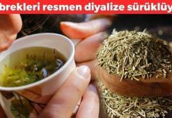 Ayıla bayıla bardak bardak içiyoruz ama böbrekleri diyalize sürüklüyor! Organları çürütüp ömrü 10 yıl kısaltıyor, zehirleyip ölmekten beter ediyor!
