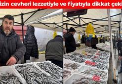 Kilosu 100 TL'ye düştü! Fiyatını duyan tezgaha akın ediyor: Omega-3, kalsiyum ve D vitamini zengini besin