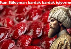 Kanuni Sultan Süleyman'ın gizli reçetesi! İç organlara format atıyor: Kalbi saat gibi tıkır tıkır çalıştırıyor