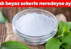 Şeker yerine bunu tüketin! Çaya kahveye avuç avuç atsanız dahi kilo aldırmıyor, hem doğal hem de kalorisiz! Kan şekerini anında terazi gibi dengeliyor