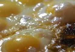 Günde 1 tane yemek yetiyor: Alzheimer'a yakalanma riskini yüzde 47 azaltıyor, beyni zehir gibi yapıyor! Süper besin olarak da biliniyor, B12 deposu!