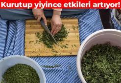 1 kaşığı vücudu resetliyor! Yazın kurutup kışın yiyin: Sivaslılar ondan vazgeçemiyor