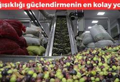 Zeytini böyle tüketmelisiniz! Böyle yiyince faydası 10 kat artıyormuş