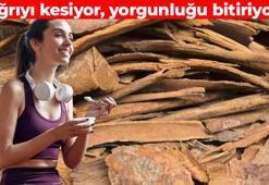 Tarçınla karıştırıp kaşık kaşık yiyin! Kan şekerini dakikasında dengeliyor: Bağışıklığı çelik gibi yapıyor, doğal ağrı kesici