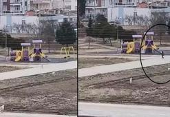 10 yaşındaki çocuk, sokak köpeklerinin saldırısına uğradı