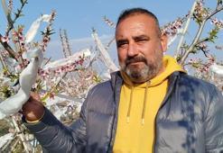 Soğuktan korumak için kendi yöntemini geliştirdi! Ağaçlarını korumak için tül kullanıyor: Kimisi soba yakıyor, kimisi saman