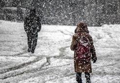 24 Şubat Pazartesi okullar tatil mi? İstanbul'da okullar tatil mi? Pazartesi günü okula gidilecek mi? Hangi illerde okullar tatil?