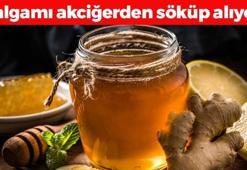 Sabah 1 kaşık içen 10 yıl hastalanmıyor! 1 kaşık balla karıştırmak yetiyor, öksürük, hırıltı ve balgamı akciğerden kazıyor!