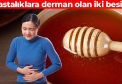 Yunanlılar ilaç olarak tüketiyormuş! Foşur foşur bağırsak temizliği: İki malzemeyi karıştırıp kaşık kaşık yiyin