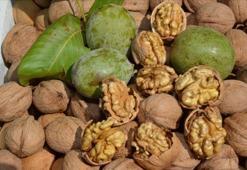 Bakır ve folik asit zengini! Kahvaltıda kabuğunu kırıp 1 tane yiyin: Kolesterol ve yüksek tansiyonun doğal ilacı