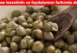 Evliya Çelebi'nin Seyahatnamesi'nde geçiyor! 'Gebre otu' olarak da biliniyor: Vücudu kaya gibi güçlendiriyor