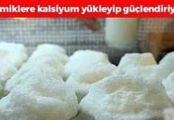 Dünyanın en güçlü probiyotik kaynağı! Kemikleri beton gibi güçlendirip kalsiyum depolarını fullüyor, bardak bardak için!