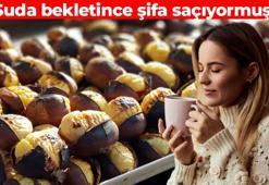 Kestaneyi yiyip kabuğunu çöpe atmayın! Kimse faydalarının farkında değil