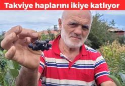 Doğal antioksidan ilacı! Takviye haplarını sollayan meyve: Damar sertleşmesini önlüyor, cildi parıl parıl parlatıyor