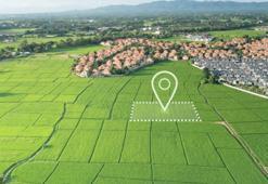 Arsaya talep azaldı! Pandemi şoku geçince tercih değişti