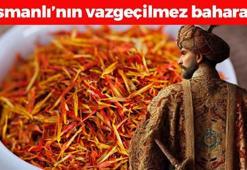 Osmanlı saray mutfağının vazgeçilmezi! Yemeklere 1 kaşık atınca tıkalı damarları yağ çözücü gibi açıyor, şişkinlik, hazımsızlık ve gastrite iyi geliyor!