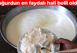 Kimse tadını beğenmiyor! Yoğurdun en faydalı hali: Kalsiyum ve protein deposu lezzet