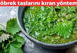 Dünyanın en güçlü demir ve kalsiyum kaynağı! Böbrek taşlarını döküp kum oluşumunu önlüyor