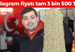 Amasya mucizesinin fiyatı gram altını geçti! Kilosu 3 bin 500 TL: Yemeklere 1 avuç atın, bağırsakları motor gibi çalıştırıp kemikleri betona çeviriyor!