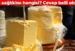 Merak edilen soru cevabını buldu! Tereyağı mı daha sağlıklı zeytinyağı mı?
