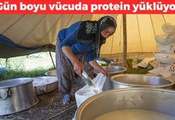 Gün boyu protein yüklemesi sağlıyor! Kilosu 400 TL’den satılıyor: Uyurken kas yaptırıyor, Erzincan'da yok satıyor
