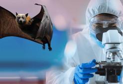 Yeni gizemli hastalık! Bir haftada 50’den fazla kişi öldü, durmadan artıyor! Sağlık yetkilileri alarma geçti