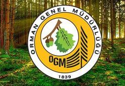 OGM İŞÇİ ALIMI BAŞVURUSU 2025: Orman Genel Müdürlüğü 4500 işçi alımı başvurusu nereden, nasıl yapılır? OGM işçi alımı başvuru şartları