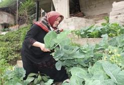 Karadeniz insanının vazgeçemediği lezzet! Kadınların 50’sinde görülüyor: Fazla tüketildiğinde hormonları alt üst ediyor