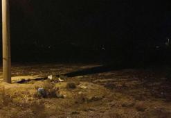 2 yaşındaki Rana'nın kahreden ölümü! 10 sokak köpeği saldırdı