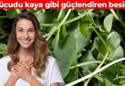 Adeta vücudun 'yeniden başlat tuşu'! Demir depolarını tıka basa dolduruyor: Doğal idrar söktürücü