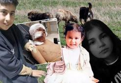 Hakkari'de Eslem, Konya'da Rana, şimdi de Murat yaşam savaşı veriyor! Bakanlık harekete geçti