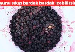 Suyunu sıkıp aç karnına 1 bardak için! İdrar yollarını temizliyor: Kan şekerini dengeleyip karnı dümdüz yapıyor
