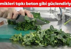 Demir, kalsiyum ve magnezyum depolarını fullüyor! Demeti 30 TL: Kemikleri betona çeviriyor, kan şekerini terazi gibi dengeleyip insülini paramparça ediyor!